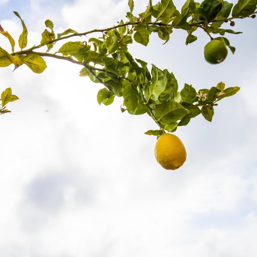 Casa Laranja, Aromas Burgau Διαμέρισμα Εξωτερικό φωτογραφία
